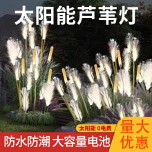 LED户外草坪灯太阳能光纤芦苇灯蒲苇庭院灯园林小区景观亮化防水