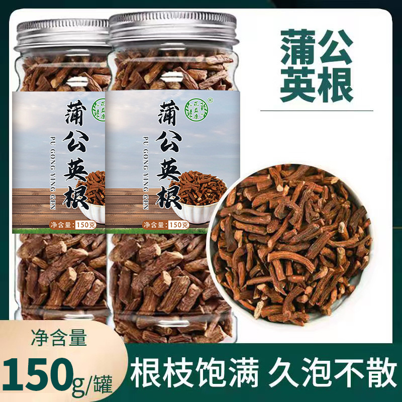 蒲公英根150g 长白山婆婆丁根蒲公英根茶 玉兰根茶罐装蒲公英批发