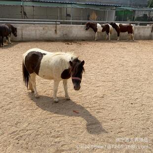 ���R���R���w���RС�R�x���ヺͯ�R���^�T���R�����R�O���m���R