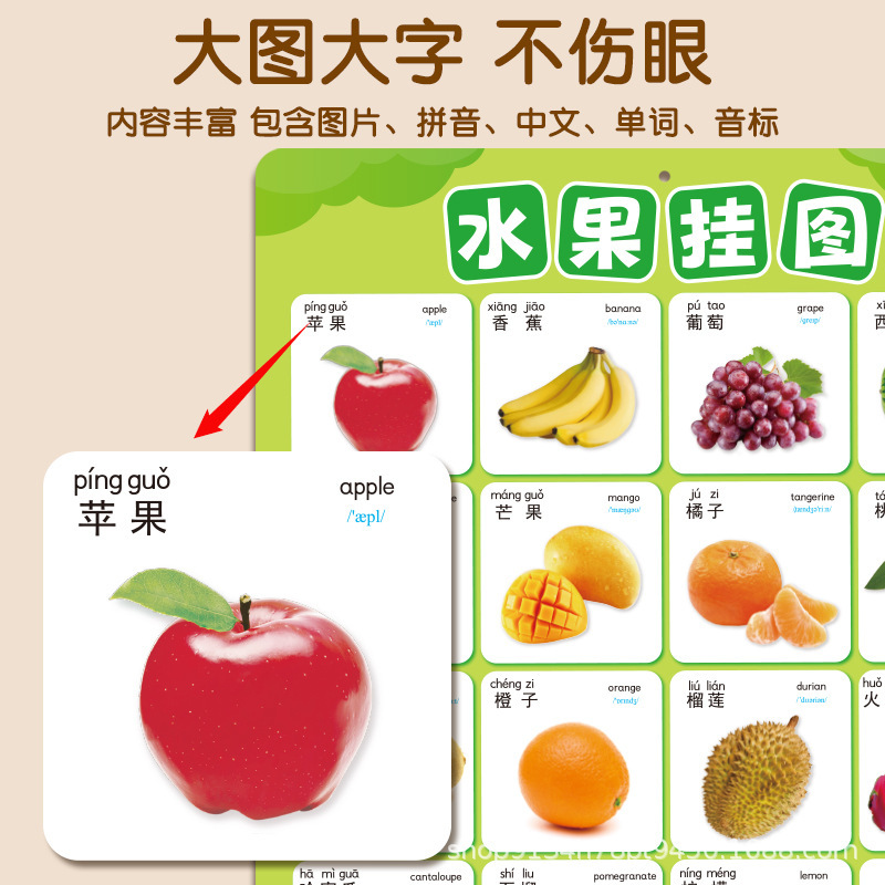 蔬菜水果动物挂图早教启蒙学习认物学前幼儿园认知认识3岁墙贴|undefined