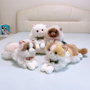 ِ���ཇ������в�ż؈��ë�q�������_؈������ͯ������ż�Y����