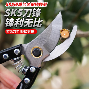 ���P���֦�������I�@�ֹ��߼��羳�@�ֹ�����������Ի���ժ����