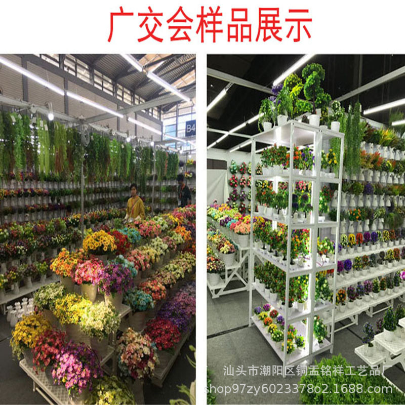 18316948053_1823197348