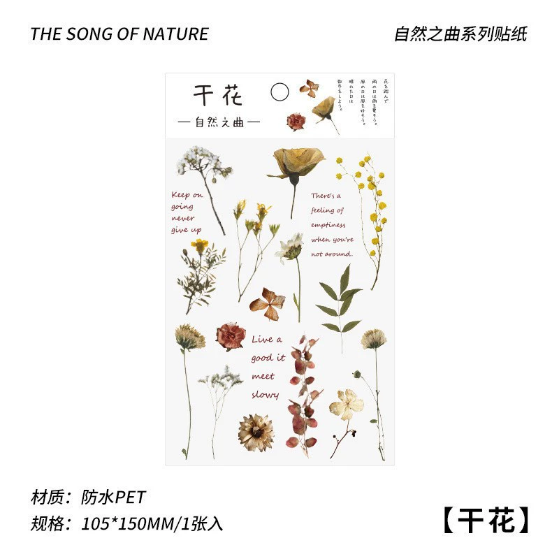 Transparent Waterproof Stickers, Floral & Botanical Designs, Small 3.33×1×0.33 cm, Assorted