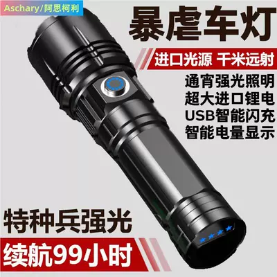 Suitable for Home and Outdoor | UV fənərlər