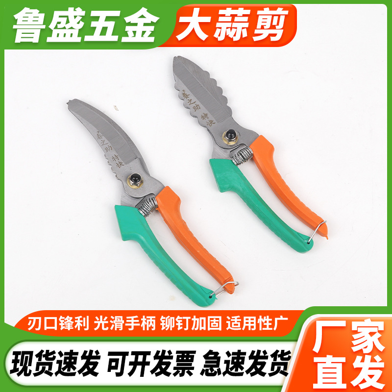 厂家批发大蒜剪农用剪洋葱蒜头蒜根蒜须杆剪刀果蔬剪子园艺剪现货