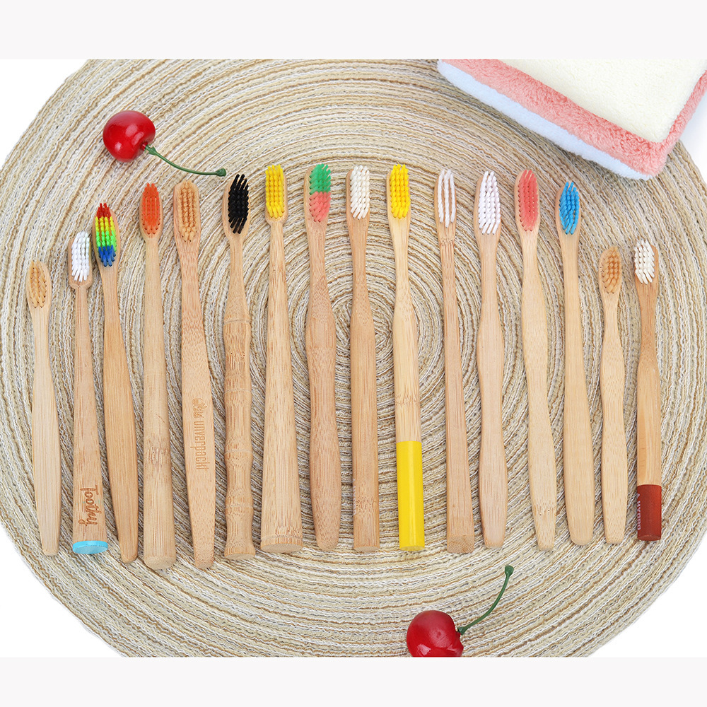 一键复制_20240119174558