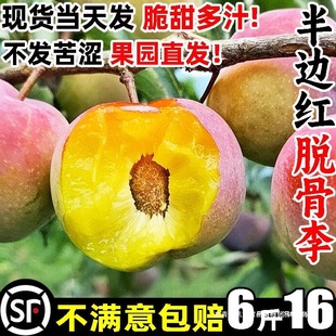 ��t�����߅�tÓ���������rˮ���Ĵ��������¬Fժ����5���ش���