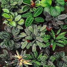 ��ȸ�����O�����~���w��ʺ������ȫ�t�}�~�s؈���������ֱ�l