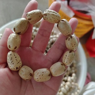 ������ͨ ������� ������ͨ������ ������ͨ�ִ� ���������l