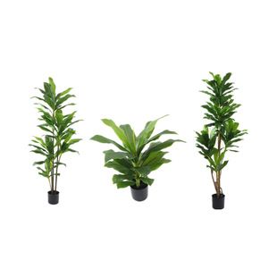 �������Z�q��ֲ���F������F����Gֲ���ԼҾ��b͏d�[��ֲ��