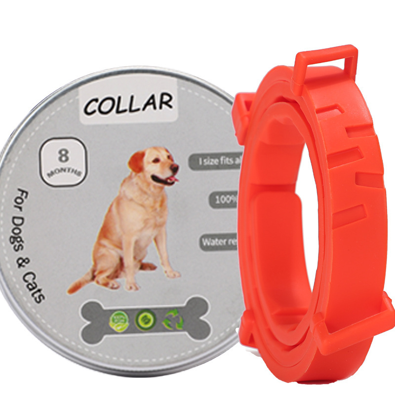 회색 상자 긴 주황색 칼라