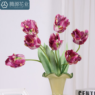 ��������滨�Ҿ��b��辰�廨�ٻ��zӰ�����b���c�ָ�