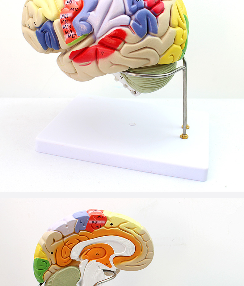 O1CN01JbdFZL2Kk6XpYbatt_!!3578