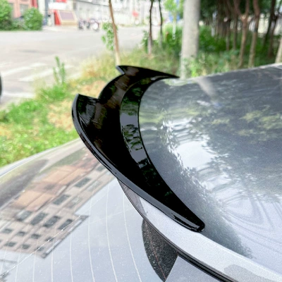 Cross-Border Modification Parts, Fixed wind wing