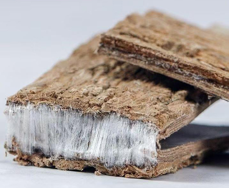 Dried Eucommia Bark Du Zhong 100g Bottle TCM Herbal Tea and Decoction Ingredient specifications