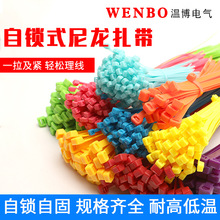 ��ɫ���������S�ҹ����ͺ��tɫ���iʽ8x500����������������