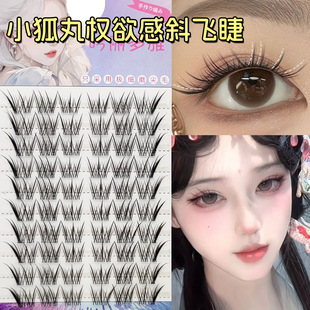 С��������Ͻ�ë�Ԏ��۾�����β���L����2025���¿�б�w�۽�ë