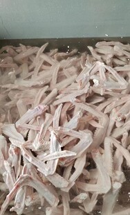 10~12��һ������Z��o��Ѫ�o���oë���Z���|�����C