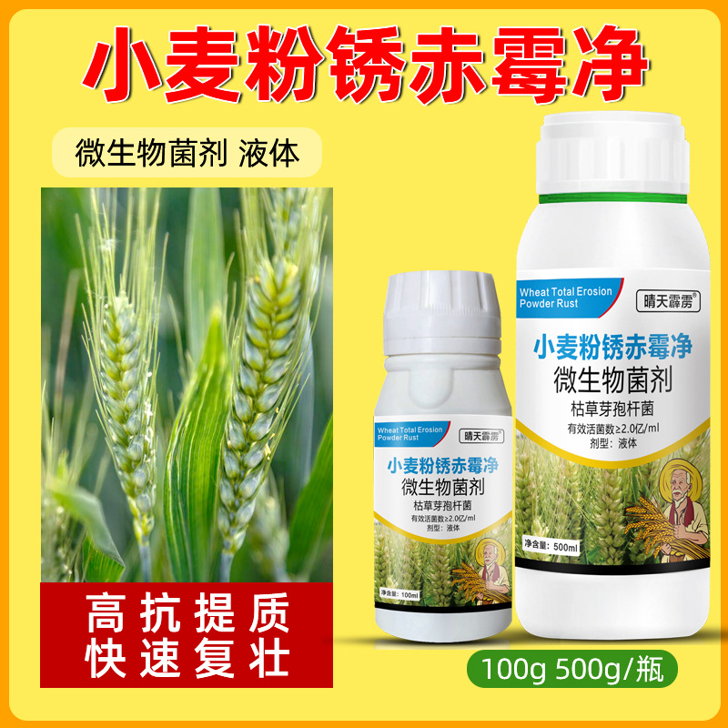 小麦病菌清锈病赤霉病白粉病纹枯病黑穗病抗病增产杀菌杀菌剂