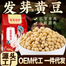发芽黄豆500g小黄豆芽豆厂家批发小规模企业采购可定制代工代发d