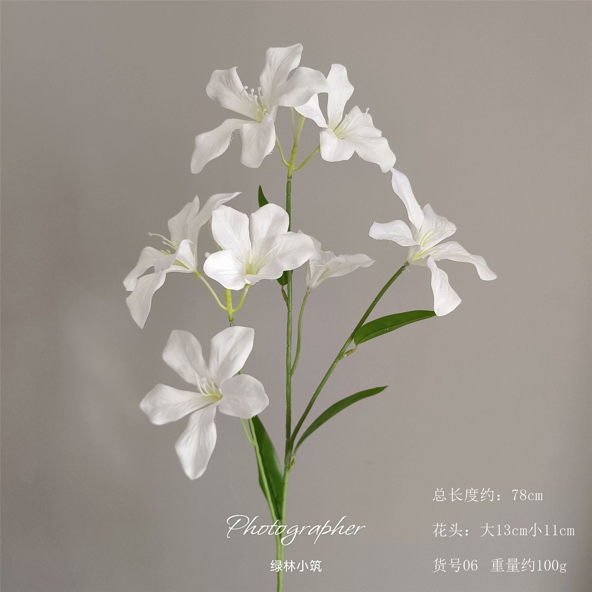 품목번호 06-불꽃난초