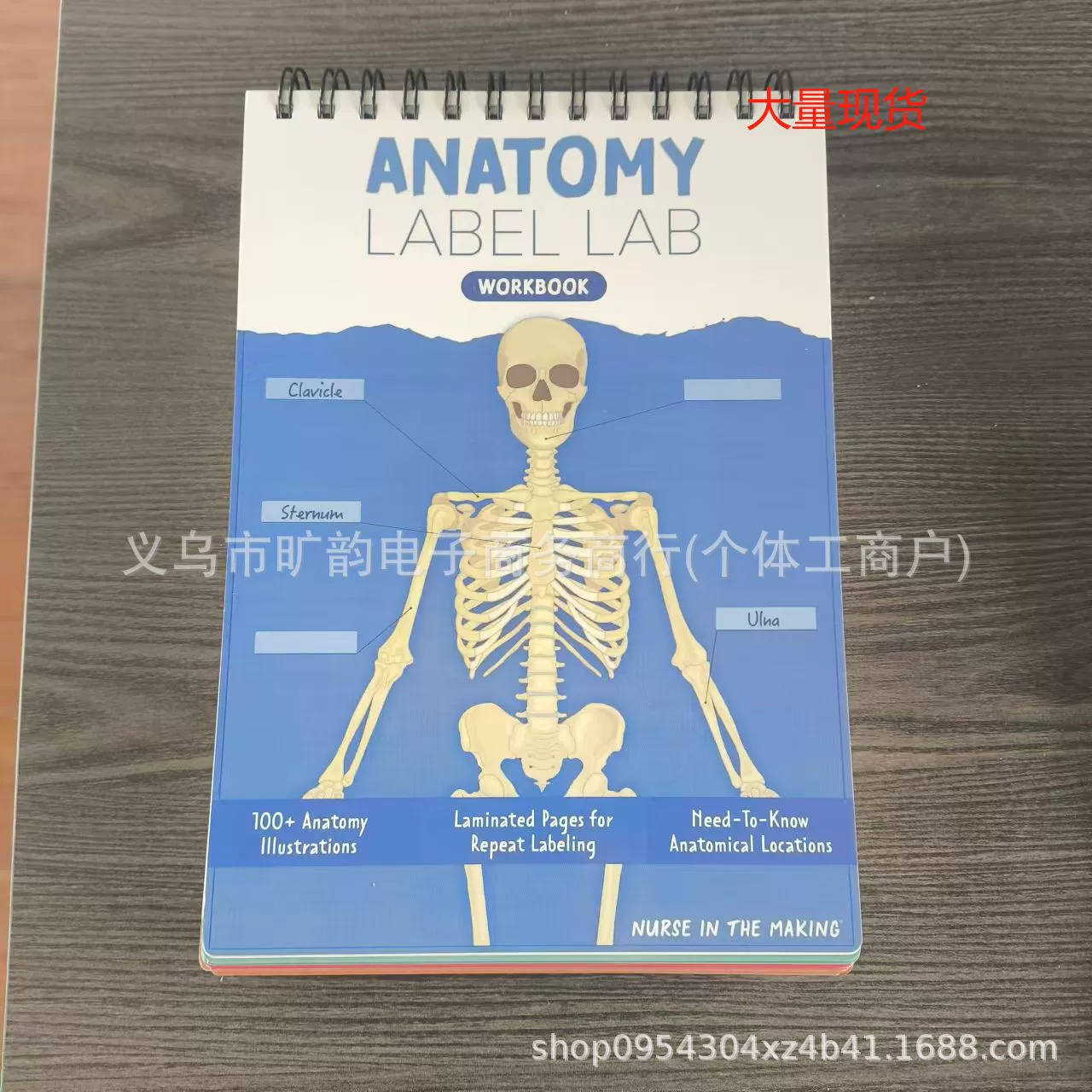 Рабочая тетрадь Anatomy Label Lab, спираль, ламинированные страницы для повторной маркировки, 27×17,5×2 см