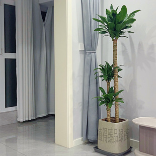 �ɻ��F�����F�ļ��������;Gֲ���҃����Ժ��B�׻����ֲ������
