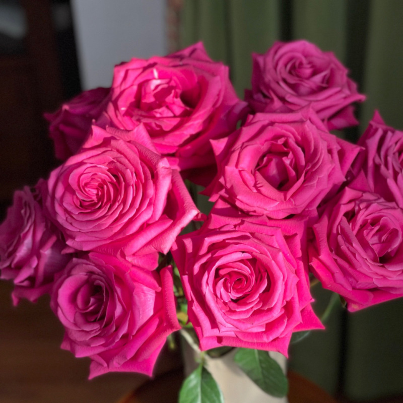 玫瑰花鲜花云南昆地批直发百合向日葵红豆家用鲜切水养插绢花|undefined