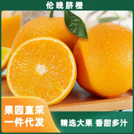 巫山恋橙伦晚脐橙橙子5斤带箱发货新鲜当季水果整箱一件代发批发