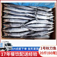 秋刀魚20斤/箱速凍秋刀魚1號日式燒烤食材鐵板海鮮烤魚批發秋刀魚