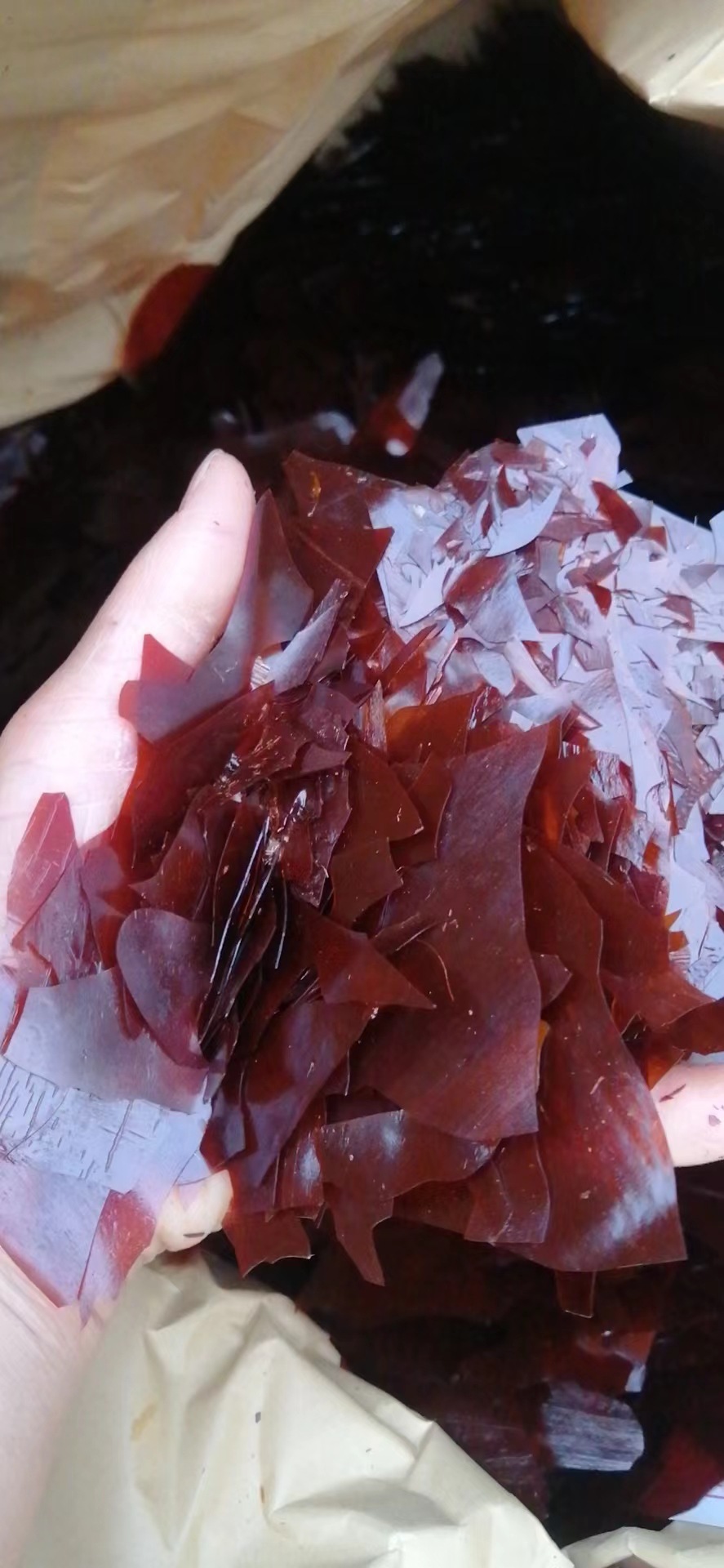 8c6cb0c3371ec3ee17354719438315