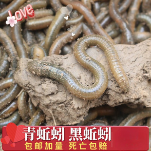 �����]������������򾴹��~�D������������S�X����