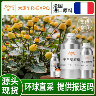 ǧ�վ�ԭ��Gomphrena globosa����ֱ�ɾ���ԭ�����l����܇����