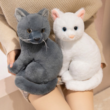 �ɐ۴�����ţ؈����؈����ë�q������_؈��ż��ͯ��鰲�᲼����