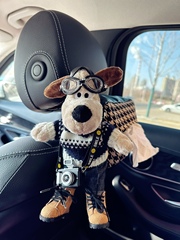 車載紙巾盒高級掛式飛行狗卡通車內裝飾用品千鳥格汽車座椅抽紙榕