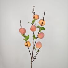 ����ˮ�����ӼҾ��b[��ֲ�q��ˮ���@�־Gֲ�쾰�b�Ʒ���滨