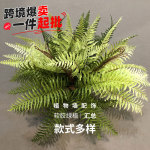 仿真手感蕨类植物波斯草家居婚庆造景装饰植物墙配材绿色植物