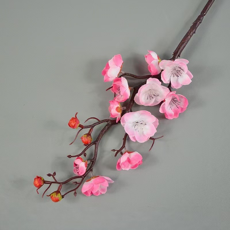 중간 가지 매화 핑크