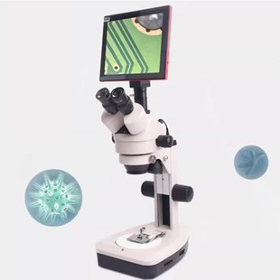 �����P���錚��Ӿ�·��XTL-165MB/VT�B�m׃���pĿ��Ŀ�wҕ�@΢�R