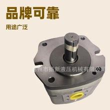 �ձ�NACHI�ͱ� IPH-3B-10-20 IPH-3B-13-20����Խ�X݆��Һ����