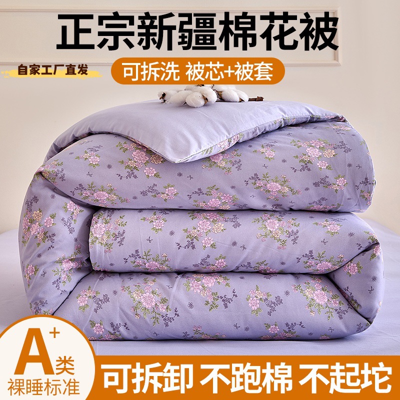 Class a Xinjiang Cotton Quilt Winter Quilt Thickeneded Quilt Spring & Fall Quilt Core New Home Student Dormitory Universal for All Seasons