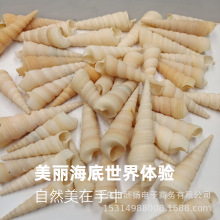 ��Ȼؐ�����ݺ��� ����ݰ����� ��ǰDIY�~���쾰�Ҿ��bS��