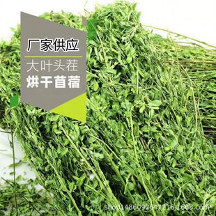 �ȇ}�}2026������ޣ���²ݸɲ�������؈���m�i���������������