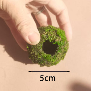 �羳���N��̦�\��ֲ��⻨���ձ�̦�񱣝���̦��΢���^�҃�����