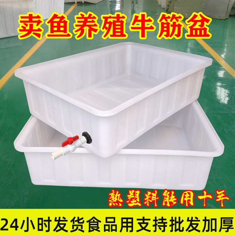 大号加厚塑料水箱长方形储水桶牛筋箱泡瓷砖水产养殖养鱼养龟浅盆
