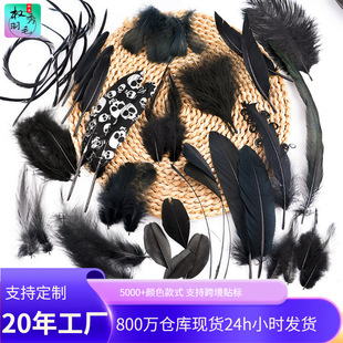 �S�����ldiy��ɫ��ë��ˇ�b���ë��c��ë��ʹ�����b�o��