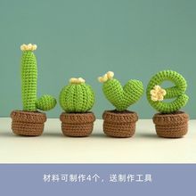小盆栽多肉仙人掌DIY手工编织车用摆件钩织材料包毛线自制永生花