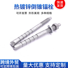 热镀锌倒锥锚栓M12建筑幕墙用倒锥定型锚栓4.8级高强度化学锚栓