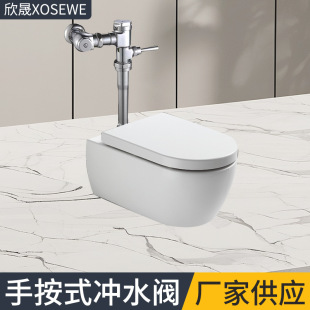 Hand-pressed flush valve squatting pan all copper toilet switch toilet delay valve stool foreign trade toilet flush valve